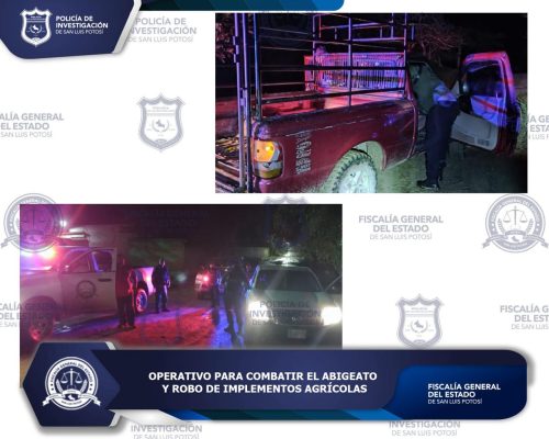 Imagen de WhatsApp 2024-12-21 a las 16.37.01_6e0fcfd4