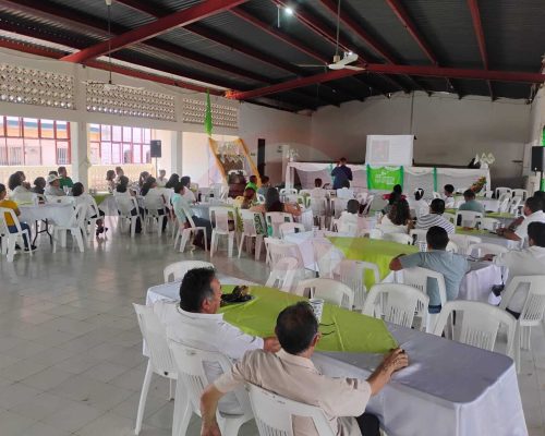Taller