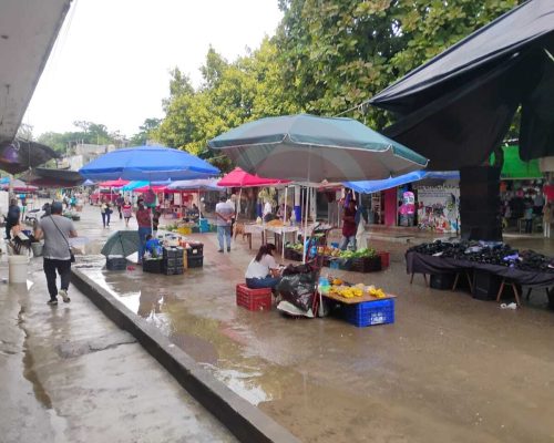 Tianguis Tianguis