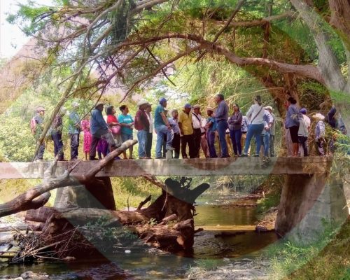 WhatsApp Image 2022-03-31 at 11.20.57 AM