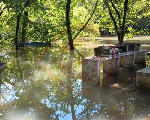 WhatsApp-Image-2023-09-18-at-5.27.43-PM-2