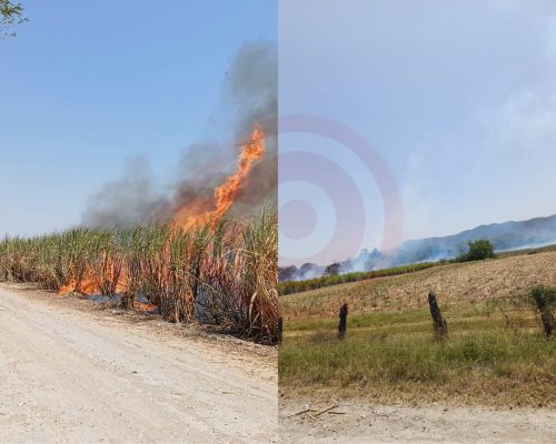 WhatsApp-Image-2024-04-10-at-11.32.30-PM-4