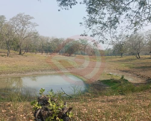 WhatsApp-Image-2024-04-11-at-9.56.29-PM