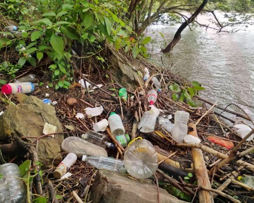 WhatsApp Image 2025-07-10 at 10.38.32 PM