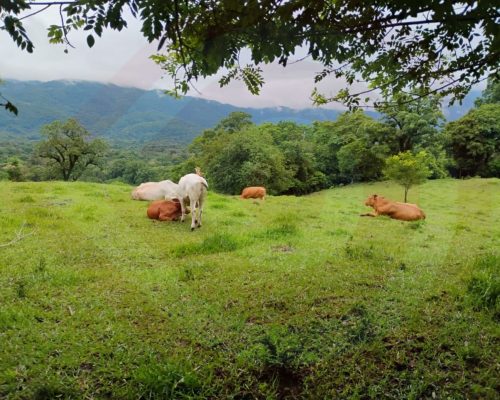 WhatsApp Image 2025-07-26 at 10.33.23 PM WhatsApp Image 2025-07-26 at 10.33.23 PM