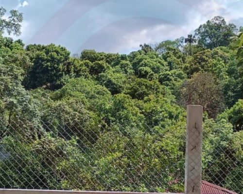 WhatsApp Image 2025-07-26 at 9.10.39 PM WhatsApp Image 2025-07-26 at 9.10.39 PM