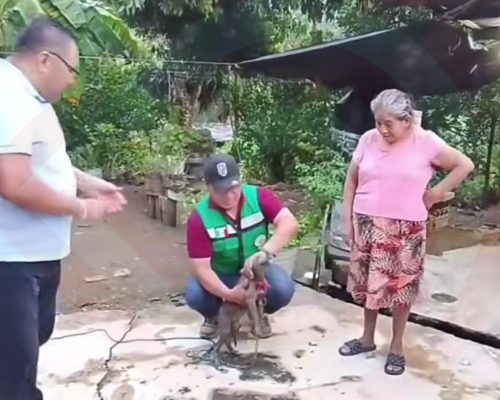 WhatsApp Image 2025-07-28 at 9.50.12 PM WhatsApp Image 2025-07-28 at 9.50.12 PM