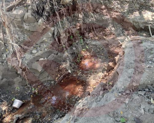 WhatsApp Image 2025-11-08 at 8.05.47 PM