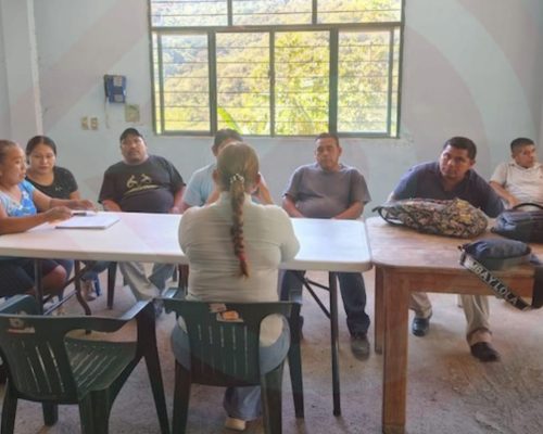 WhatsApp Image 2025-11-13 at 10.10.29 PM