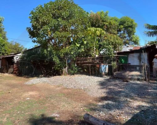 WhatsApp Image 2025-11-13 at 10.20.49 PM