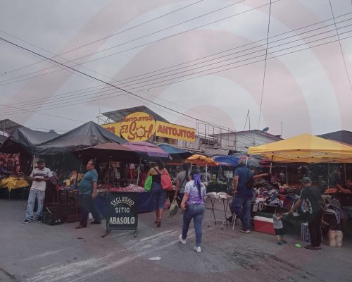 WhatsApp Image 2025-11-13 at 7.31.14 PM