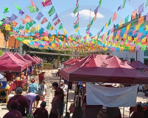 WhatsApp Image 2025-11-17 at 8.27.13 PM