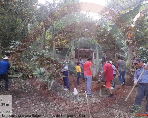 WhatsApp Image 2025-11-18 at 11.20.03 PM