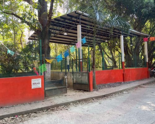 WhatsApp Image 2025-11-18 at 9.30.24 PM