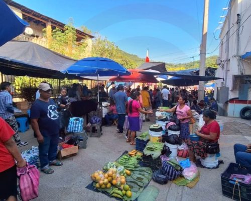 WhatsApp Image 2025-11-24 at 10.31.58 PM