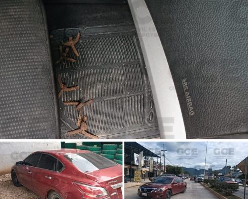 WhatsApp Image 2025-11-27 at 6.28.45 PM