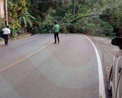 WhatsApp Image 2025-11-28 at 10.33.25 PM