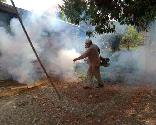 WhatsApp Image 2025-11-28 at 11.48.42 PM