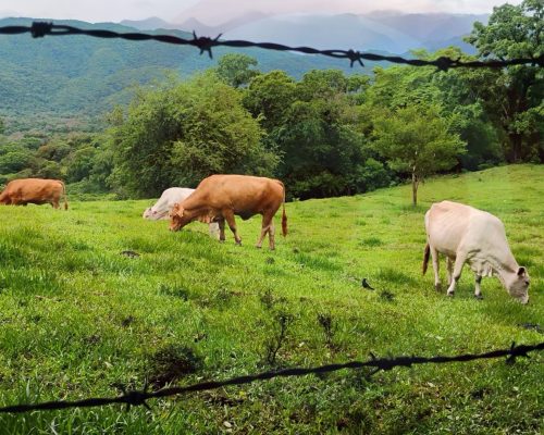 WhatsApp Image 2025-11-28 at 11.57.15 PM