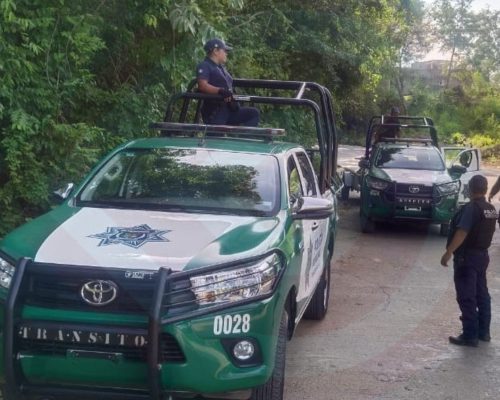 WhatsApp Image 2025-11-28 at 12.44.40 AM