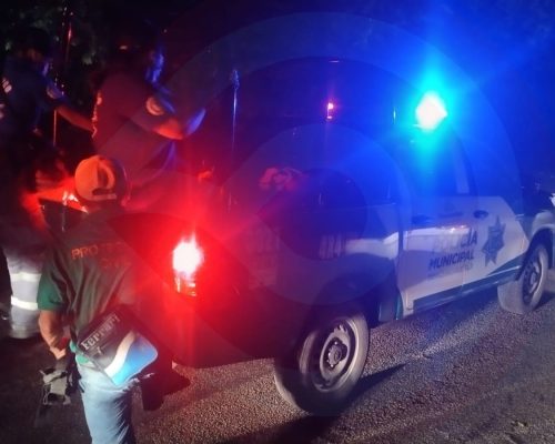 WhatsApp Image 2025-11-28 at 12.46.22 AM