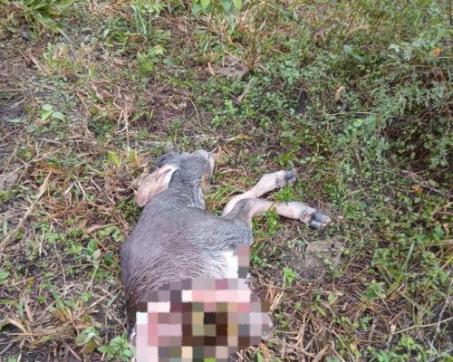 WhatsApp Image 2025-12-02 at 9.28.09 PM