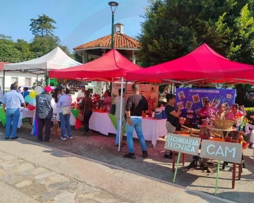 WhatsApp Image 2025-12-03 at 9.51.06 PM