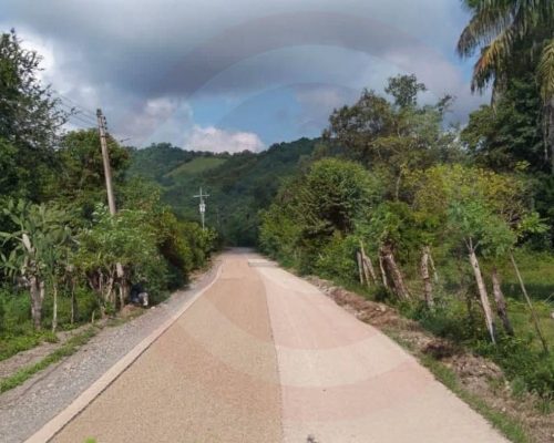 WhatsApp Image 2025-12-04 at 8.34.50 PM