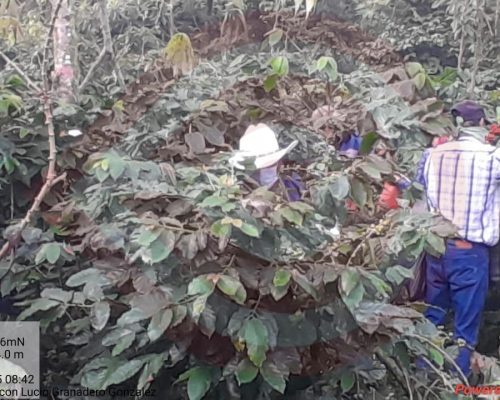 WhatsApp Image 2025-12-06 at 9.28.06 PM