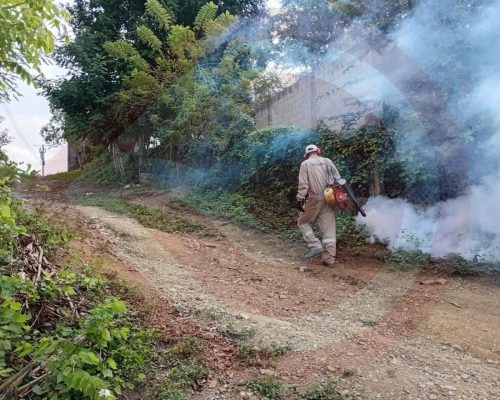 WhatsApp Image 2025-12-08 at 10.49.45 PM