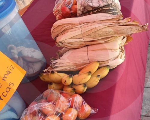 WhatsApp Image 2025-12-09 at 11.40.38 PM