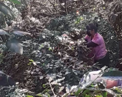 WhatsApp Image 2025-12-09 at 9.31.46 PM