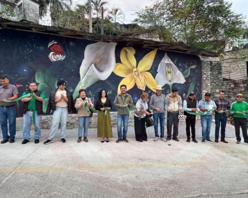 WhatsApp Image 2025-12-11 at 10.43.47 PM