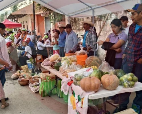 WhatsApp Image 2025-12-15 at 10.17.18 PM