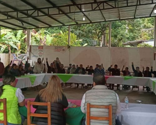 WhatsApp Image 2025-12-15 at 9.24.13 PM