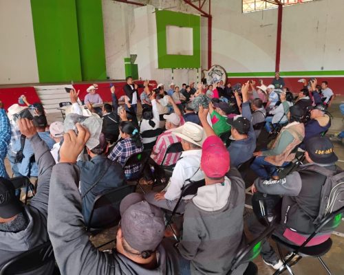 WhatsApp Image 2025-12-16 at 10.26.41 PM