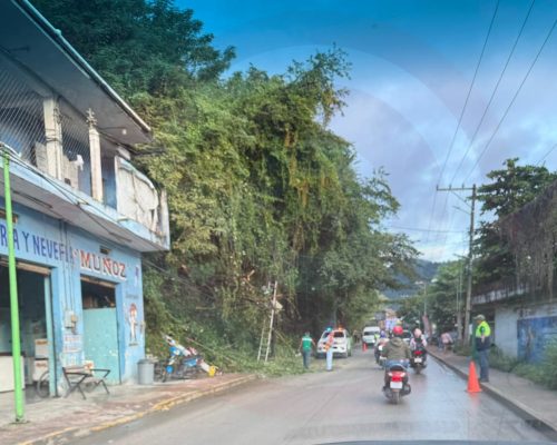 WhatsApp Image 2025-12-16 at 11.02.36 PM