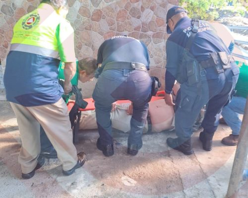 WhatsApp Image 2025-12-16 at 11.19.52 PM