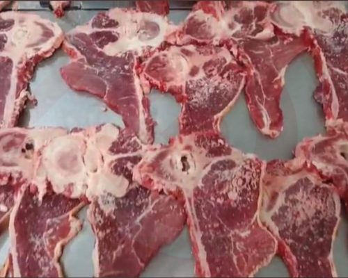 WhatsApp Image 2025-12-17 at 10.50.46 PM