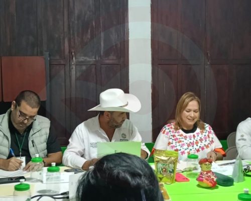 WhatsApp Image 2025-12-17 at 7.20.54 PM