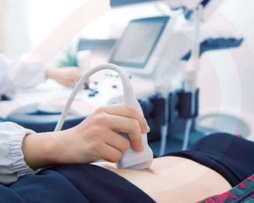 WhatsApp Image 2025-12-18 at 10.31.58 PM