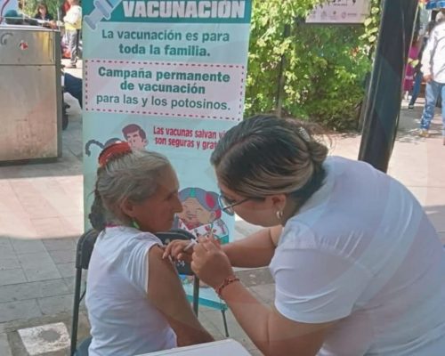 WhatsApp Image 2025-12-18 at 10.39.26 PM