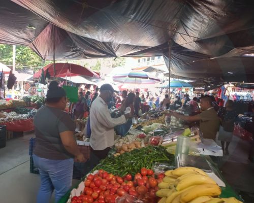 WhatsApp Image 2025-12-18 at 7.40.55 PM