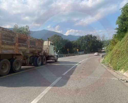 WhatsApp Image 2025-12-19 at 10.32.47 PM