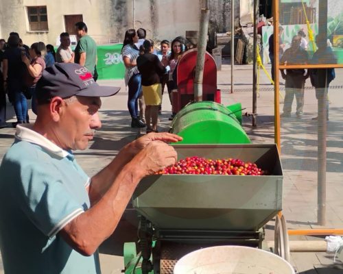 WhatsApp Image 2025-12-19 at 10.34.26 PM