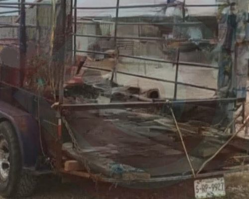 WhatsApp Image 2025-12-19 at 11.14.35 PM