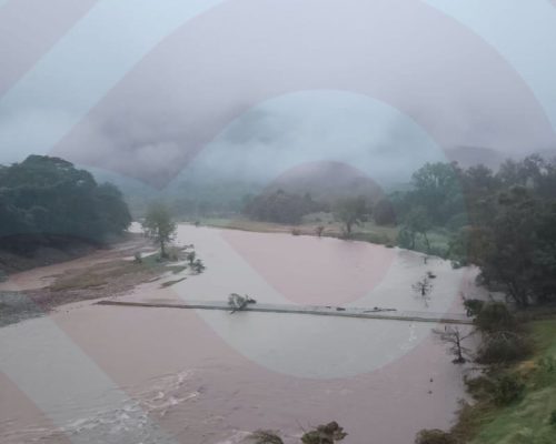 WhatsApp Image 2025-12-24 at 7.22.35 PM