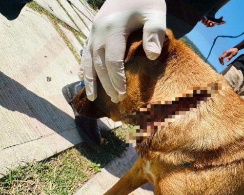 WhatsApp Image 2026-02-25 at 8.34.58 PM