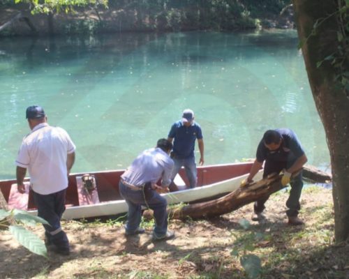 WhatsApp Image 2026-02-28 at 8.35.51 PM