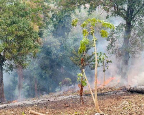 WhatsApp Image 2026-03-12 at 9.04.12 PM